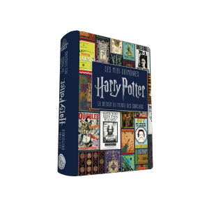 Les mini-grimoires Harry Potter T4 : Le design du monde des sorciers